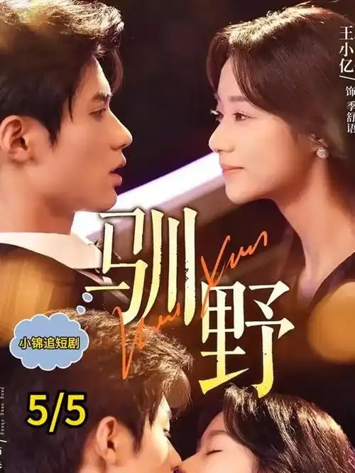 久草影院犯罪剧《夜行者档案》海报
